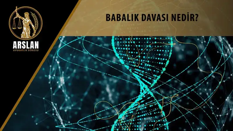 BABALIK DAVASI NEDİR?